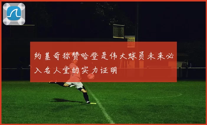 约基奇称赞哈登是伟大球员未来必入名人堂的实力证明